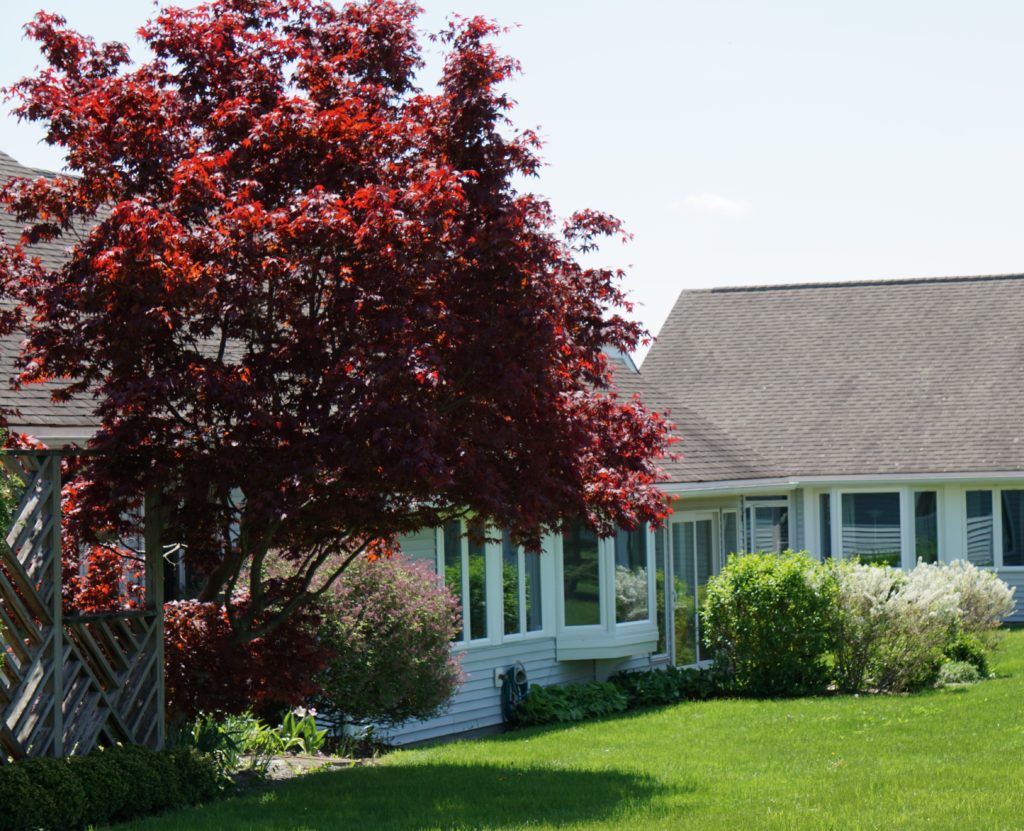 Cottage Exterior