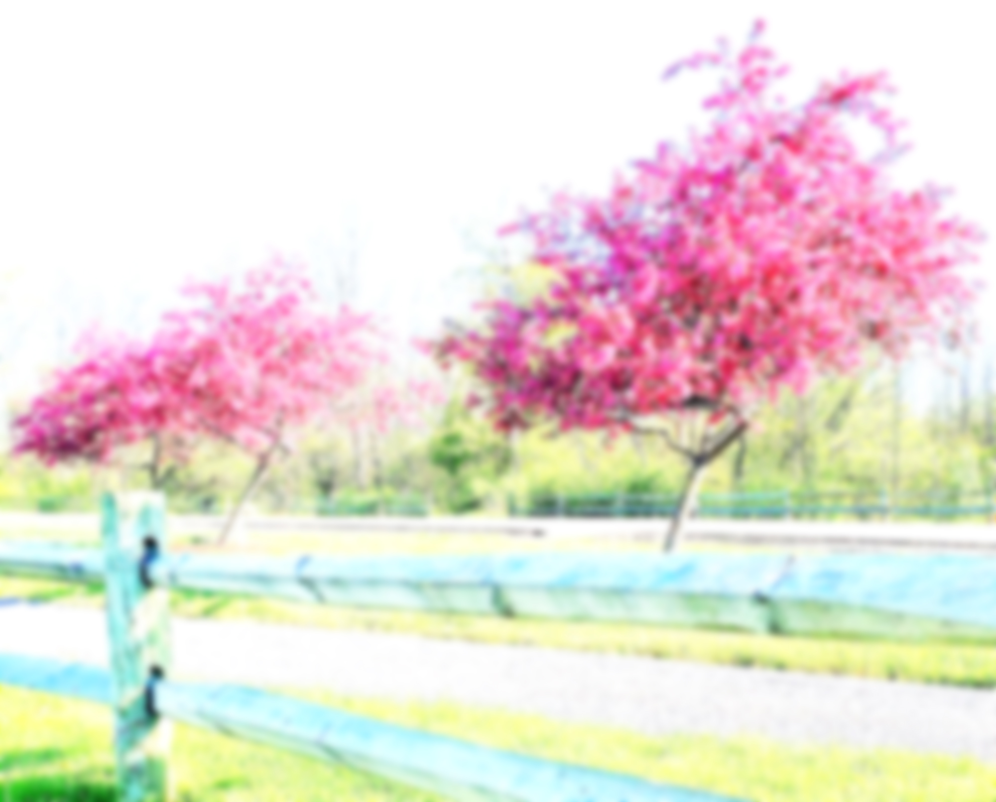 sustainability at senior living community